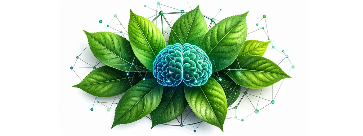 Jaké jsou účinky pití yerba mate? Jak ovlivňuje koncentraci?