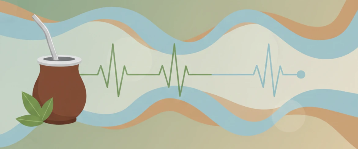 Yerba mate a krevní tlak – zvyšuje yerba mate krevní tlak a jak působí kofein?