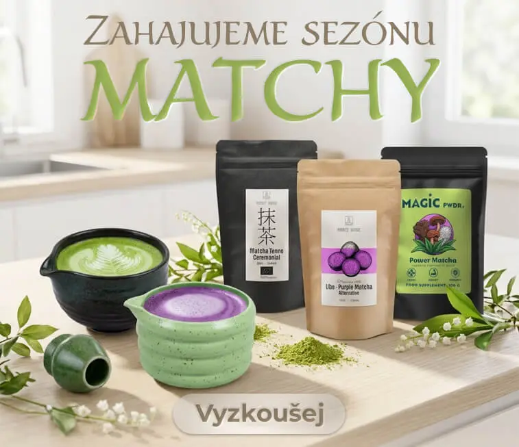 Sezóna na matchu