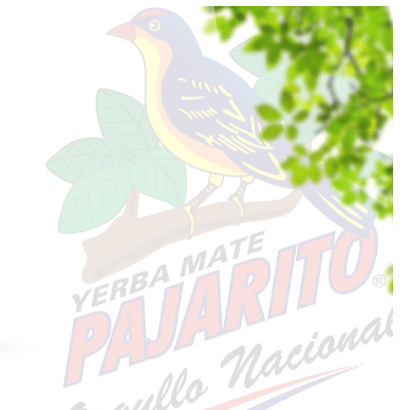 Pajarito - příběh o paraguayské důkladnosti