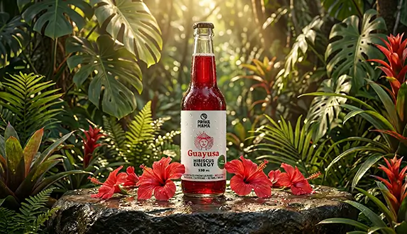 Nový způsob, jak si dodat energii – objevte Guayusa Pachamama Cold Brew
