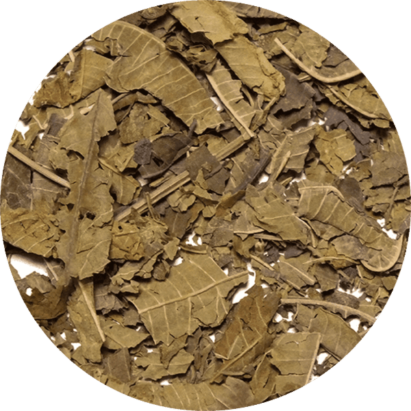 Vivarini - Verbena citronová 25 g