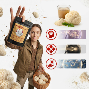 Magic Pwdr – Lion's Mane – Korálovec ježatý 30 g