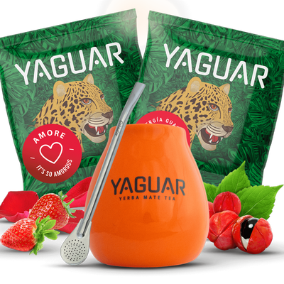 Sada Yerba Mateo + Bombilla pro začátek