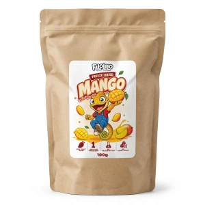 FiloLilo – Lyofilizované mango (plátky) 100 g