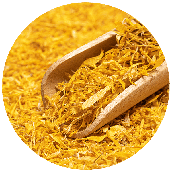 Mary Rose – Měsíček 100 g – květ měsíčku (okvětní lístky)