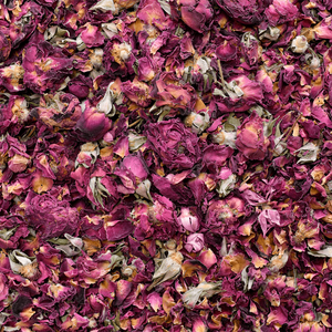 Červená Růže 1 kg – květ růže