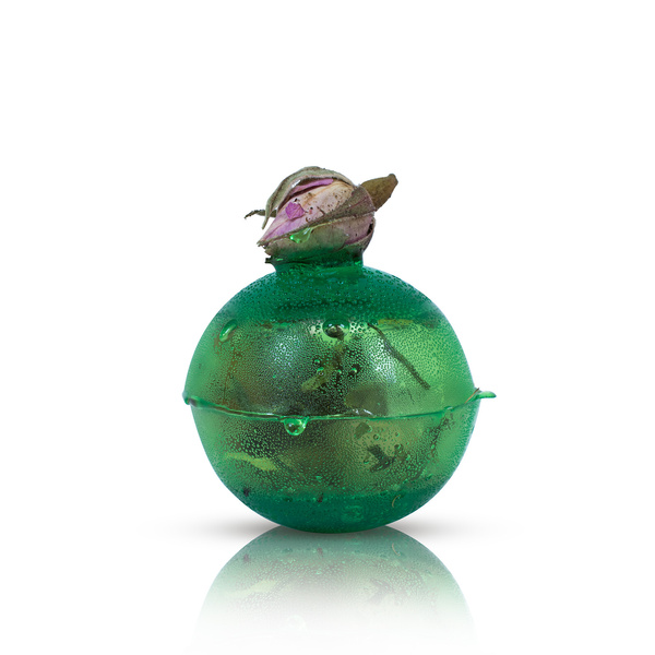 Mary Rose – Sunny Garden čajová bomba (mini)