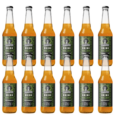 12x Fruit Drink Guarani sada