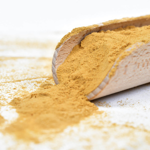 Vivarini – Lion's Mane – Korálovec ježatý 100 g