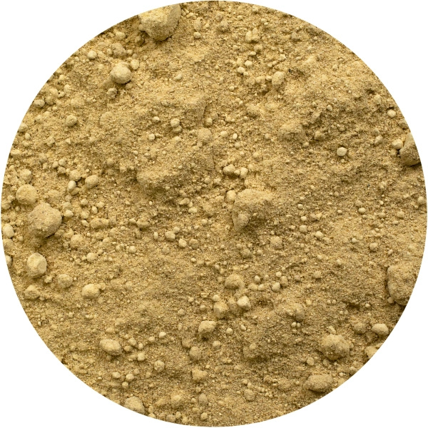 Vivarini – Zázvor (mletý) 1 kg