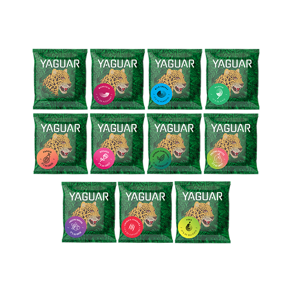 Yerba Mate 10 x 50 g + 50g