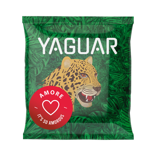 Sada Yerba Mate Yaguar 10x50g kalabash Bombilla