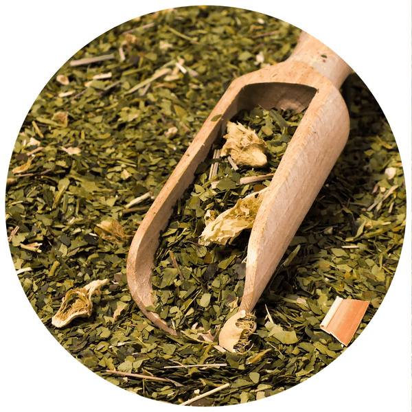 Dárková sada Yerba Verde Mate Cactus 0,5kg
