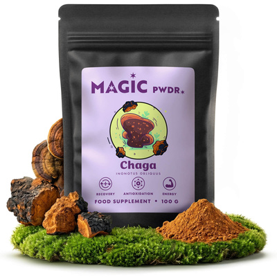 Magic Pwdr – Čaga 100 g
