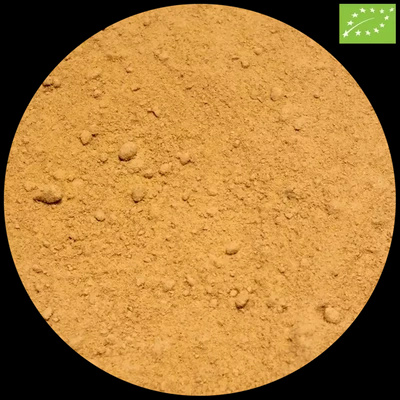 Vivarini - Bio zázvor (mletý) 50 g