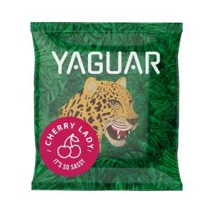 Sada Yerba Mate pro začátečníky: vzorky Yaguar 10x50g + Kalabása + Bombilla