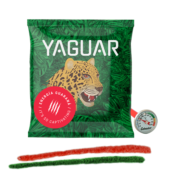 Yerba Mate Starter