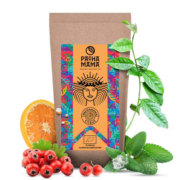 ILEX GUAYUSA Pachamama sada s více příchutěmi
