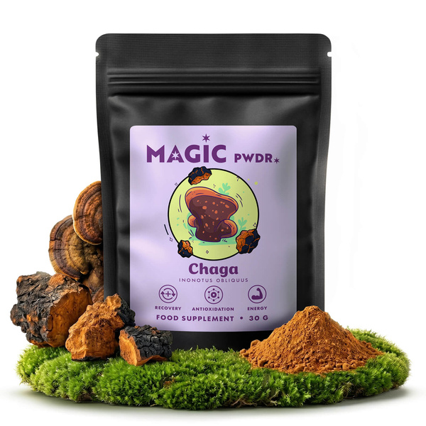 Magic Pwdr – Čaga 30 g
