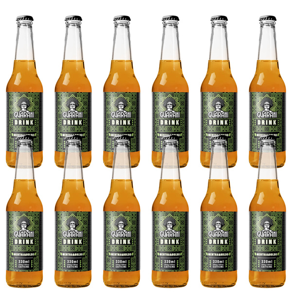 12x Fruit Drink Guarani sada
