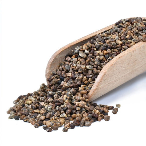 Vivarini – Kardamom (loupaná semínka) 50 g