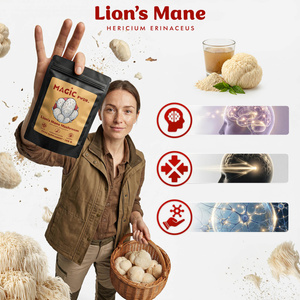 Magic Pwdr – Lion's Mane – Korálovec ježatý 100 g