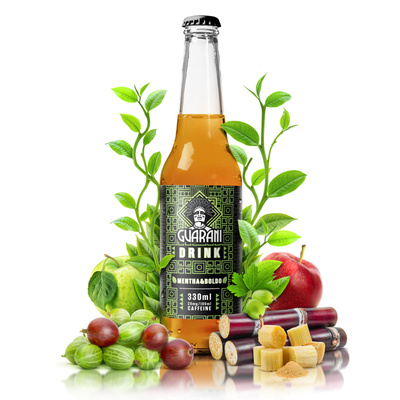 Guarani Drink – Studený nálev z Yerba Maté – Mentha & Boldo 330 ml