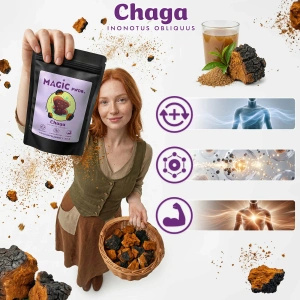 Magic Pwdr – Čaga 50 g