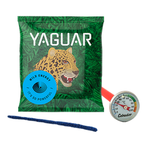 Yerba Mate Starter