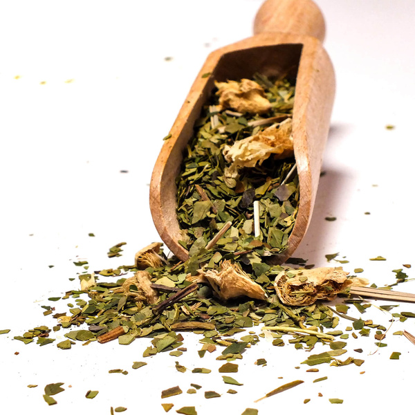 Dárková sada Yerba Verde Mate Cactus 0,5kg