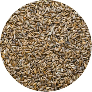 Vivarini - Ostropestřec (semínka) 1 kg