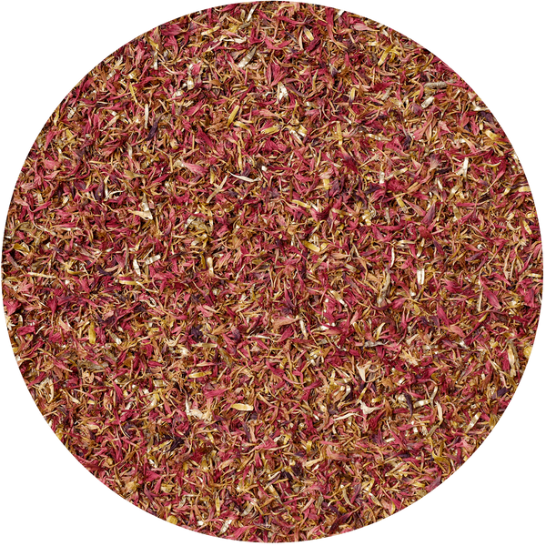 Mary Rose – Chrpa červená 10 g - květ chrpy (okvětní lístky)