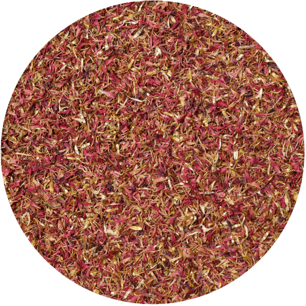 Mary Rose – Chrpa (červená) 100 g