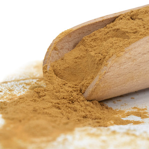 Magic Pwdr – Čaga 30 g