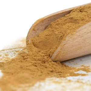 Magic Pwdr – Čaga 50 g