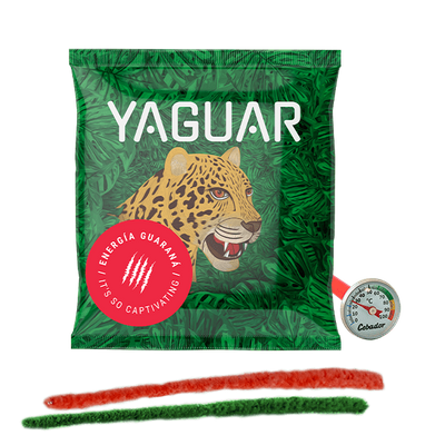 Yerba Mate Starter