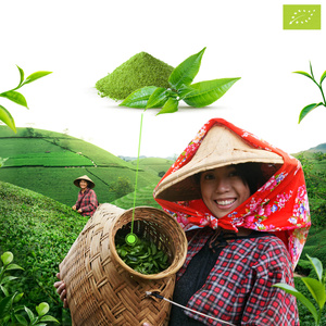 Mary Rose – Japonský zelený čaj Matcha Tenno (BIO) Ceremoniální 50 g