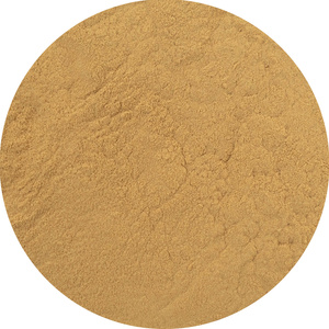 Magic Pwdr – Reishi 30 g