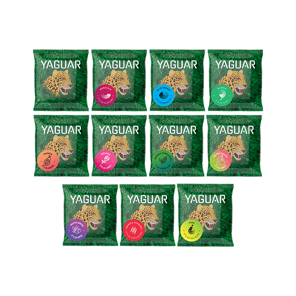 Yerba Mate 10 x 50 g + 50g