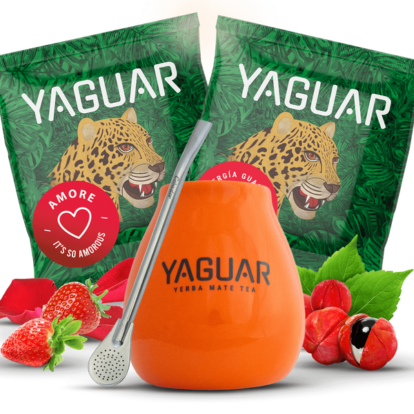 Sada Yerba Mateo + Bombilla pro začátek