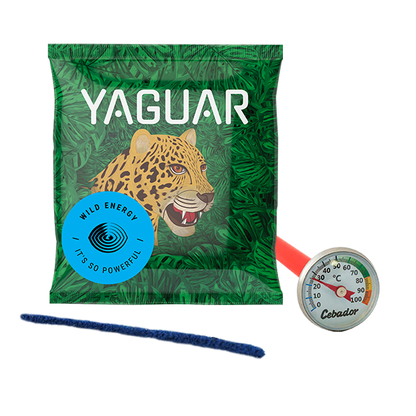 Yerba Mate Starter