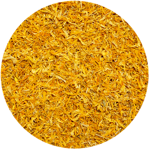 Mary Rose – Měsíček 10 g – květ měsíčku (okvětní lístky)